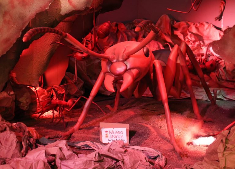 Insectos gigantes animatronics cautivarán a las familias de Cartago