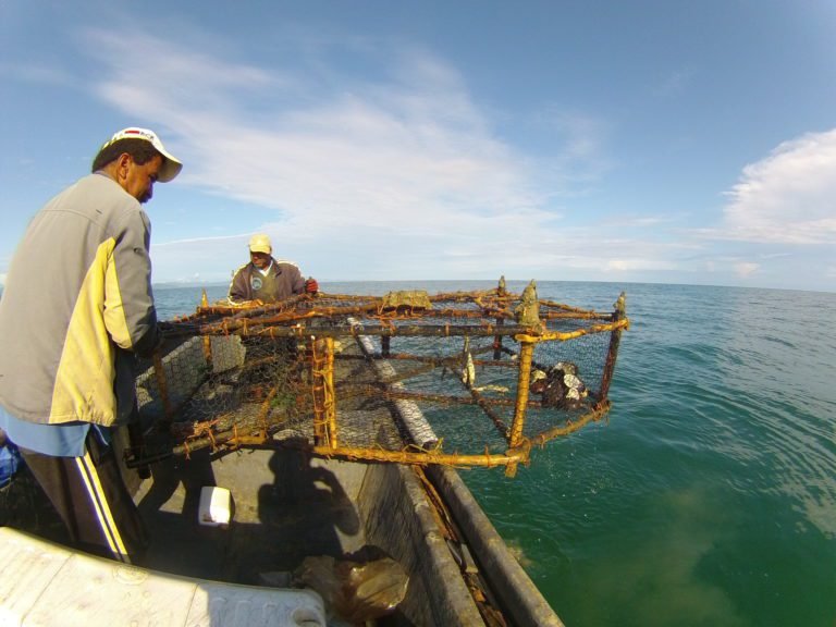 Diputados aprueban proyecto que facilitará investigación y formalización de pescadores