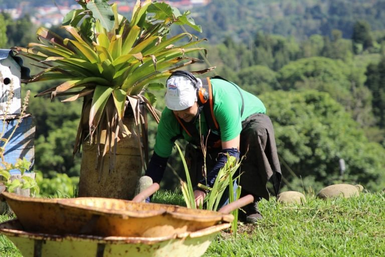 Fundación Lloverá construirá centro de capacitación para la reinserción socio-laboral