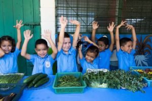 Nutrición y educación: una combinación ganadora