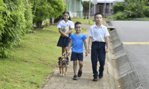 Cierre de Fonabe eliminó 6.000 duplicidades y generó un ahorro de ₡2.200 millones