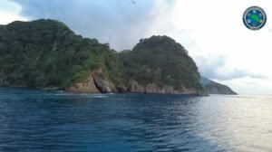 Declaran santuario natural de tiburones al Parque Nacional Isla del Coco