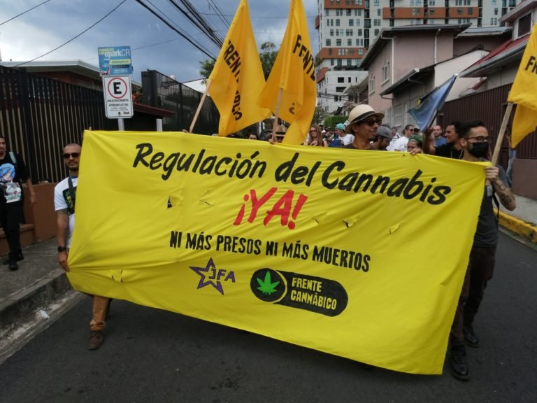 ¡Regulación del cannabis ya!, insiste Juventud del Frente Amplio