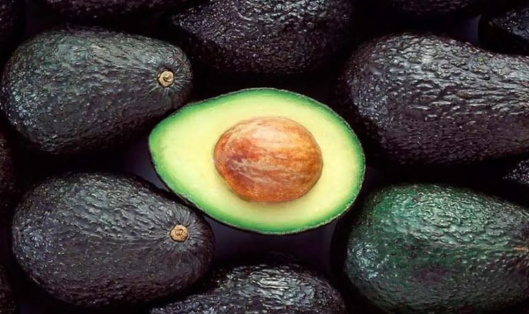 El aguacate no es solo una fruta rica