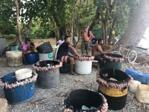 Alrededor de 100 pescadores y molusqueras artesanales discutirán sobre su forma de vida y la importancia de su trabajo