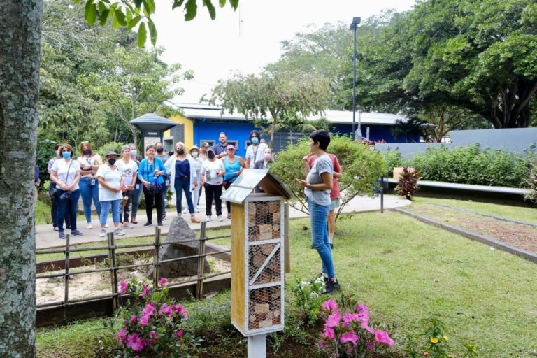 Municipalidad de Alajuela y Philips Costa Rica instalaron hotel para abejas en parque del cantón