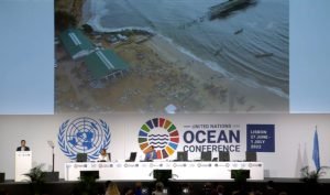 Una producción pesquera y acuícola sin precedentes contribuye de manera decisiva a la seguridad alimentaria mundial