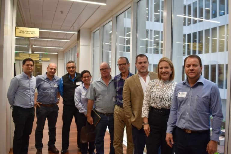 Montserrat Ruiz: Urge la aprobación del reglamento para el cultivo y la industrialización del cáñamo