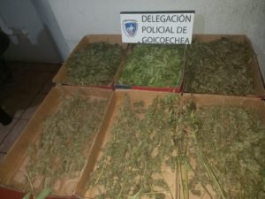 Tras alerta por violencia intrafamiliar Fuerza Pública decomisa marihuana
