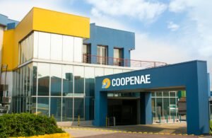 Video: ¿Cómo convertirse en inversionista con poco dinero?