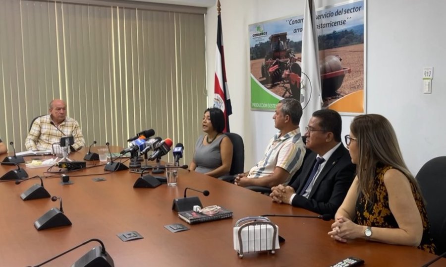 Productores de arroz denuncian que el CNP no va a recibirles su grano