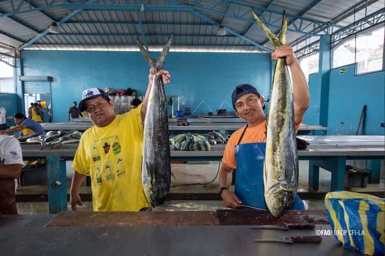 Día Mundial de la Pesca: FAO llama a promover la protección social de pescadores de pequeña escala