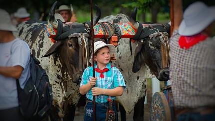 Regresa la Entrada de Santos y Desfile de Boyeros a San José, en su XXIV edición