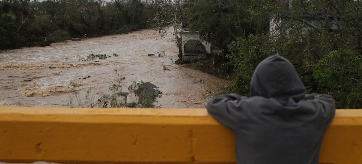 Unos 800.000 latinoamericanos y caribeños afectados por los huracanes reciben ayuda alimentaria de la ONU