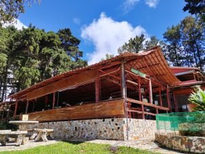 Deliciosas comidas, naturaleza y museo de antigüedades: espectaculares atractivos del Restaurante Añoranzas