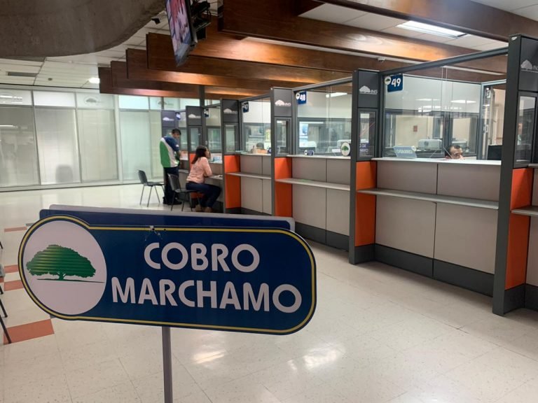 Sistema de servicios asociados al pago de marchamos fue restablecido por Cosevi y el INS