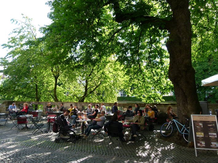 Las áreas verdes urbanas ayudan a evitar múltiples crisis en ciudades de zonas áridas, según un informe de la FAO