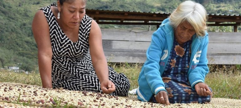 Más de 800 pueblos indígenas de América Latina viven en una mayor precariedad tras la pandemia