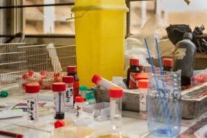 Las infecciones mortales aumentan debido a bacterias resistentes a los antibióticos