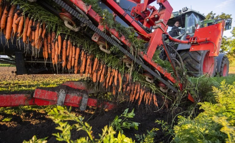 Inflación frena el cambio hacia agricultura más ecológica en Alemania