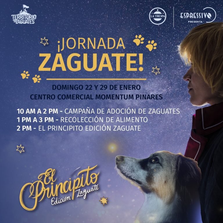 Jornadas Zaguate llegan al Teatro Espressivo