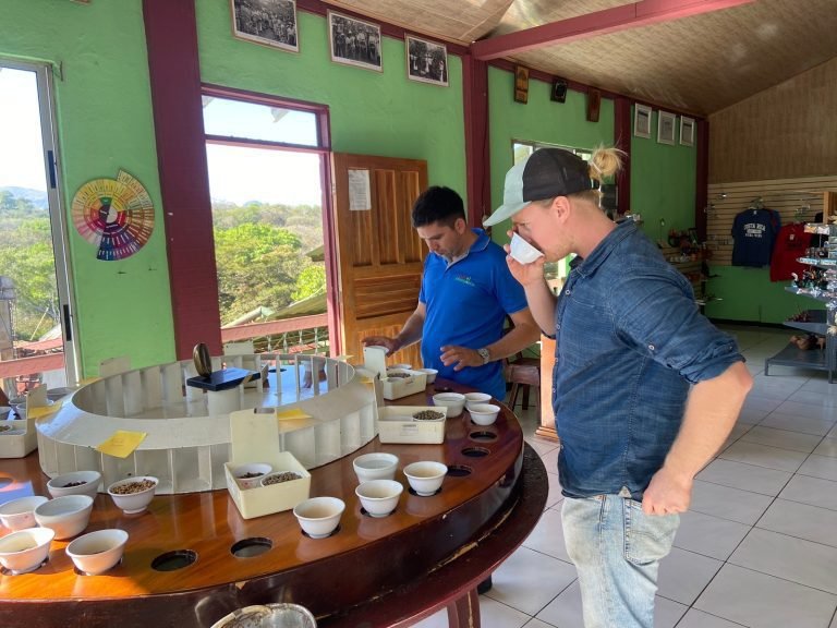 ‘Café de especialidad’ de Guanacaste se servirá en el mercado de Holanda y Corea del Sur este 2023