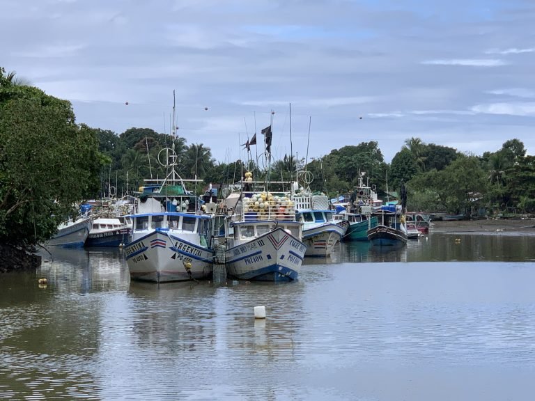 Inicia auditoría externa de pesquerías de atún, dorado y pez espada