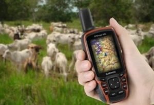 Identificación de animales con un GPS un atractivo para evitar que jóvenes salgan de áreas rurales