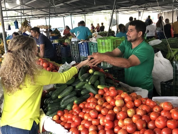 El Papa en Roma y los agricultores en Costa Rica