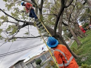 Grupo ICE y CNFL trabajan en asegurar un servicio eléctrico continuo y de calidad