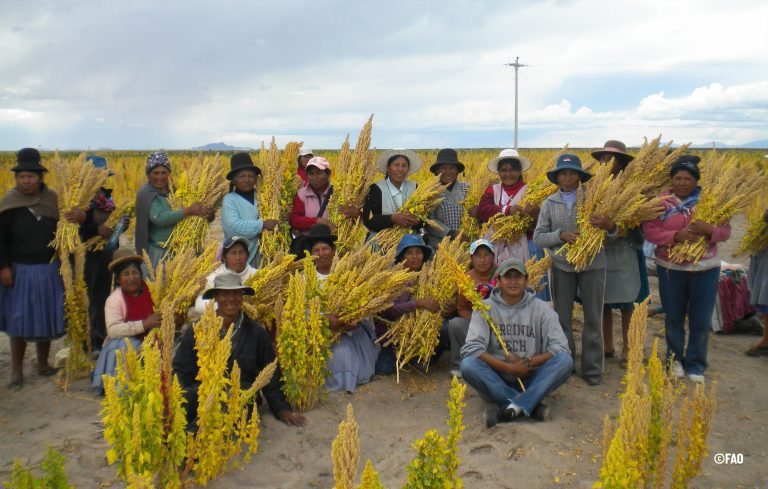 Fondo Verde aprobó US$ 33,3 millones en donación para combatir el cambio climático en Bolivia