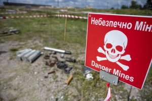 Alemania exhorta a Rusia a dejar de minar terreno agrícola ucraniano