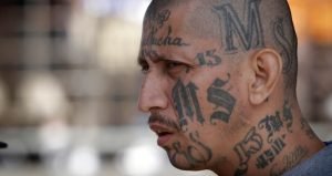 Mara Salvatrucha consolida una posible ruta de escape hacia México