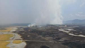 Sinac atienden incendio forestal en Parque Nacional Palo Verde 