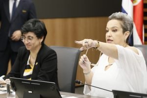 Carolina Delgado señala que las autoridades no hicieron nada para proteger a niña de 13 años y su bebé de 9 meses sustraída