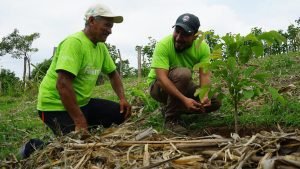 Más árboles, menos estrés hídrico en El Salvador