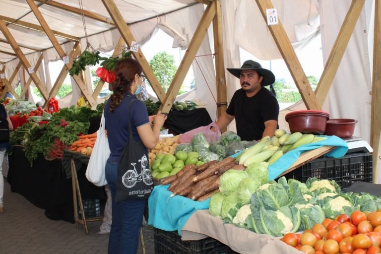 La Semana Nacional de la Nutrición incentiva a comer alimentos naturales, locales y de temporada