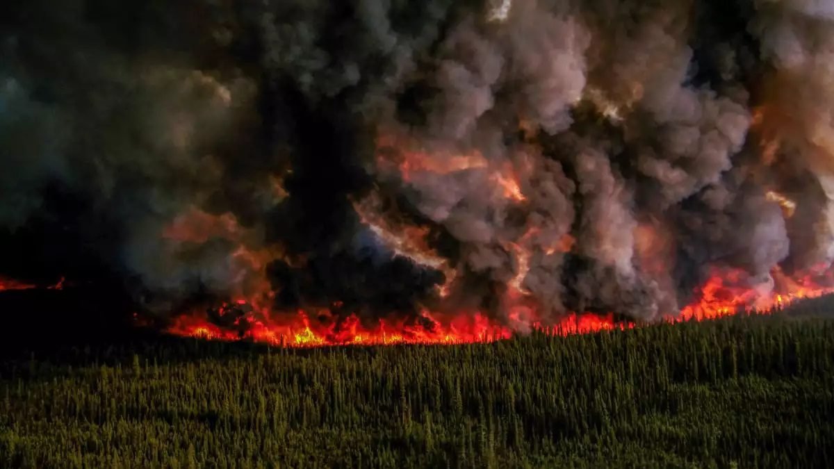 Sinac has sent 41 forest firefighters to Canada to support wildfire control