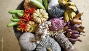 Cuatro nuevos informes destacan importancia del microbioma para inocuidad alimentaria, suelos y nutrición