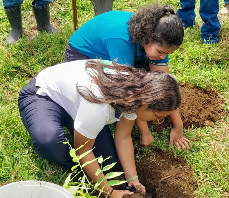 Ganaderos de la zona atlántica apoyan programa de siembra de un millón de árboles en Limón
