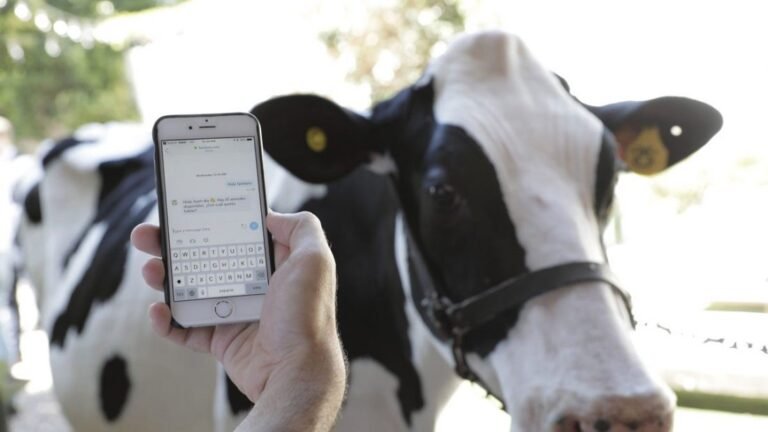 Ganadería de precisión