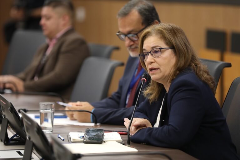 Comisión busca desincentivar compra de bonos para perjudicar a partidos que no son bendecidos por el BCT, señala Acuña