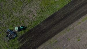 Funcionarios de agricultura de la UE trabajan para llevar granos ucranianos al mundo