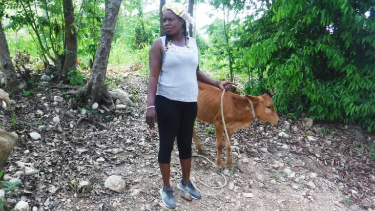 Las mujeres rurales de Haití invierten en sí mismas