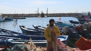 Ampliar la cobertura de la protección social para los pescadores y trabajadores de la pesca en Túnez