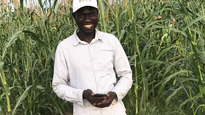 Digitalización de la agricultura en el Senegal rural