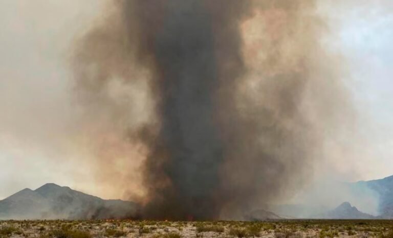 EEUU: llamas y remolinos de fuego en incendios forestales en California y Nevada