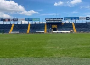 El Fello Meza se ha convertido en la fortaleza del Cartaginés