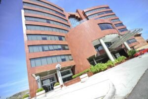 Davivienda abre sus puertas para recibir a los amigos peludos de todos sus clientes: Sí, hablamos de perros y gatos