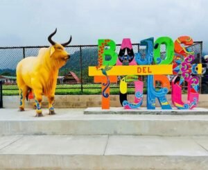 Iniciativa del PUSC busca que Toro Amarillo en Sarchí, sea declarado de interés turístico nacional